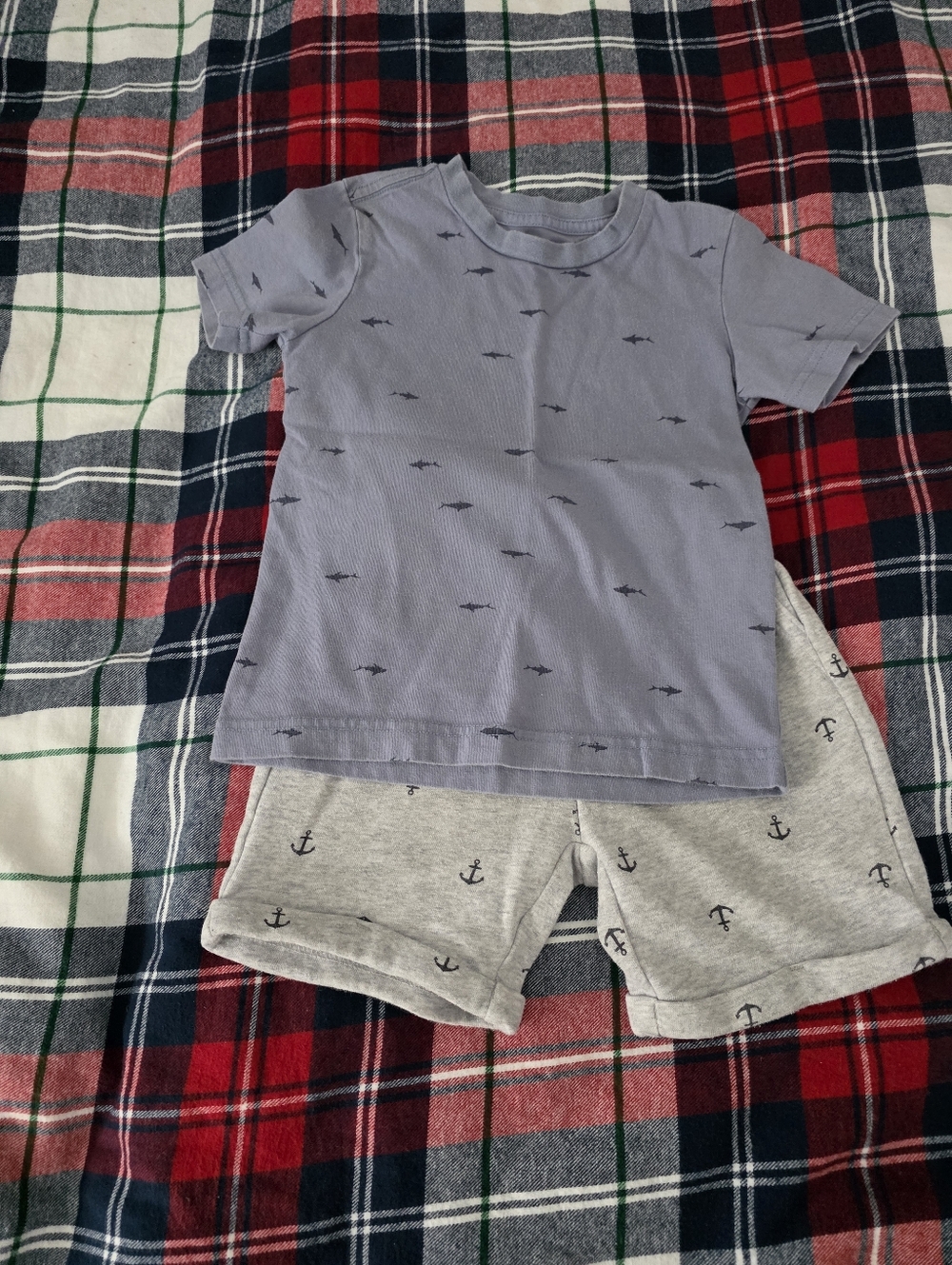 Pekkle Boy's Blue and Gray short sleeve t-shirt and shorts 5t